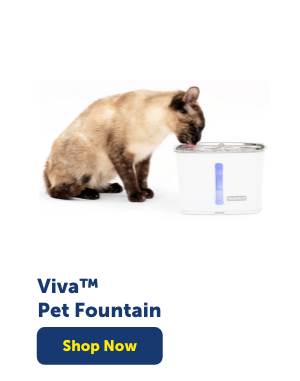 Shop Viva Pet Fountain
