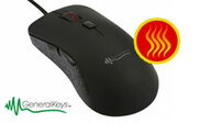 Image Article