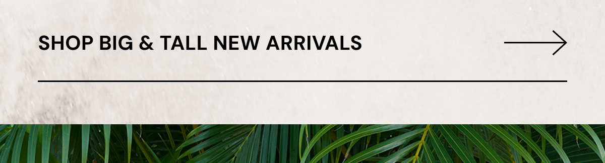 Shop Big & Tall New Arrivals