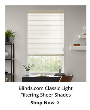 Blinds.com Classic Light Filtering Sheer Shades | Shop Now >