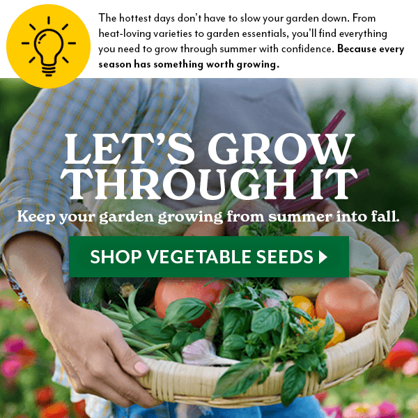 LET'S GROW THROUGH IT - KEEP YOUR GARDEN GROWING FROM SUMMER INTO FALL