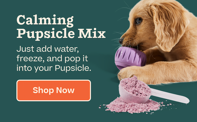 Shop Calming Pupsicle Mix