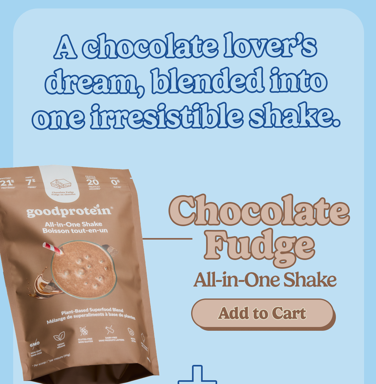 Chocolate Fudge 