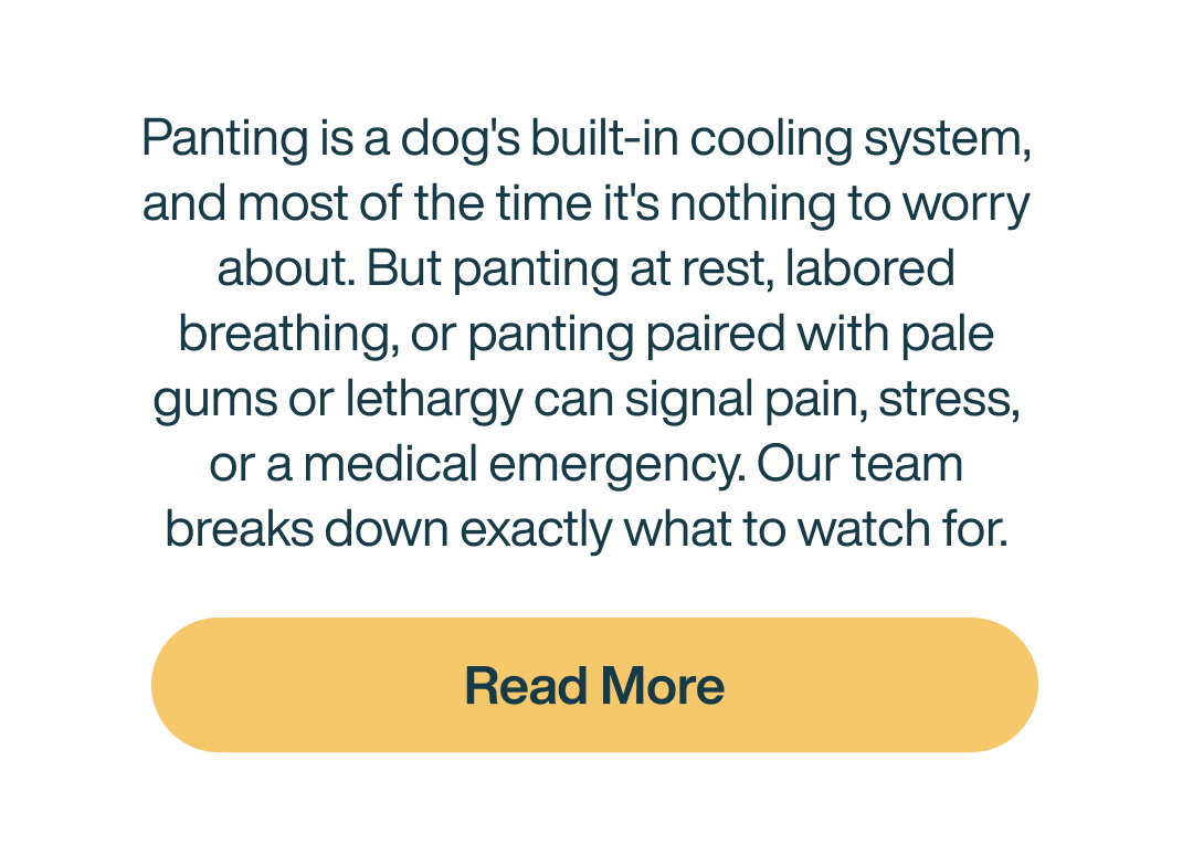 Read more