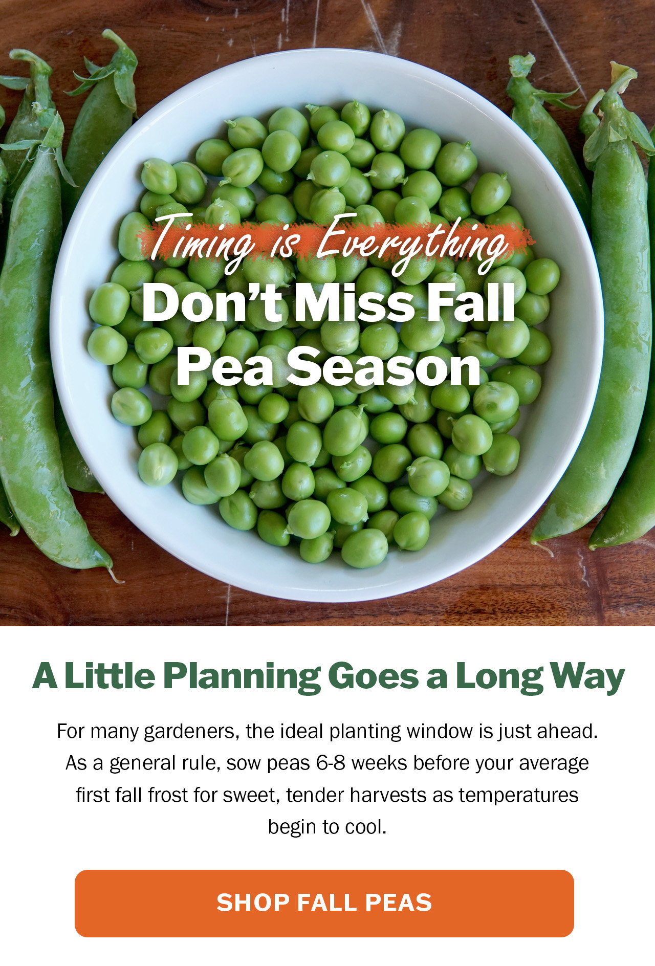 Shop our pea selection