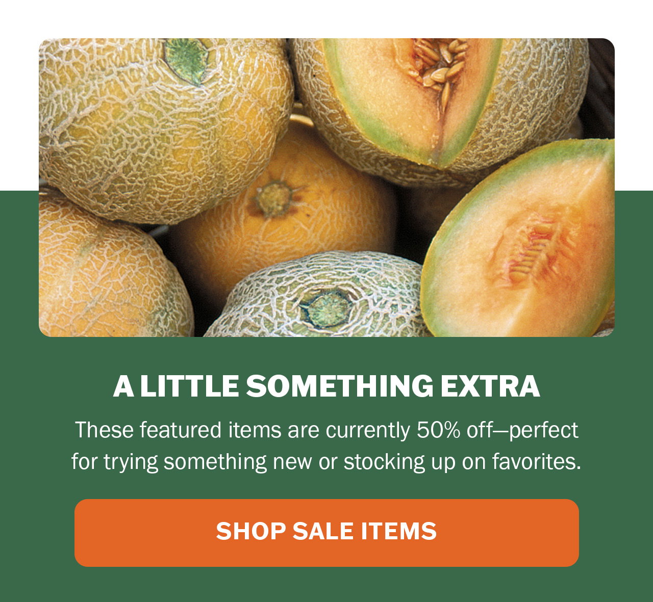 Shop our seed sale