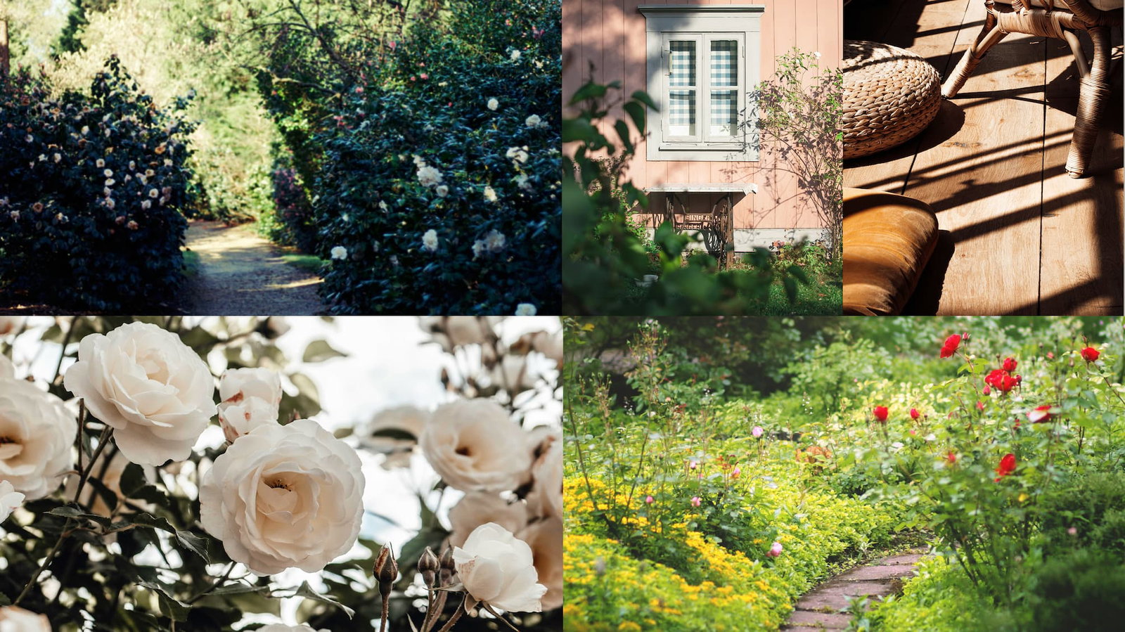 A collage of images representing the scent of No. 01 Rose candle