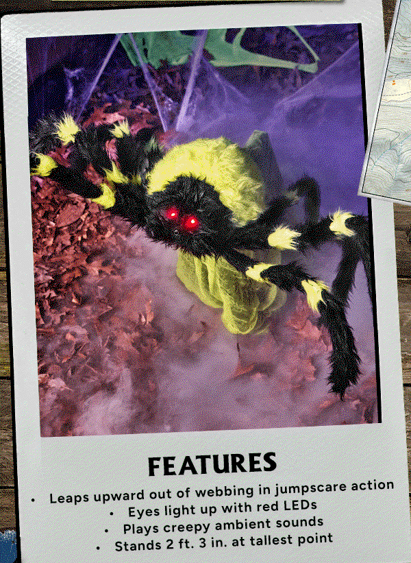 Shop Green Jumping Spider
