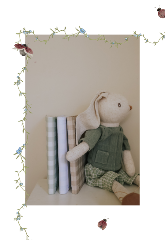 bunny resting against photo albums