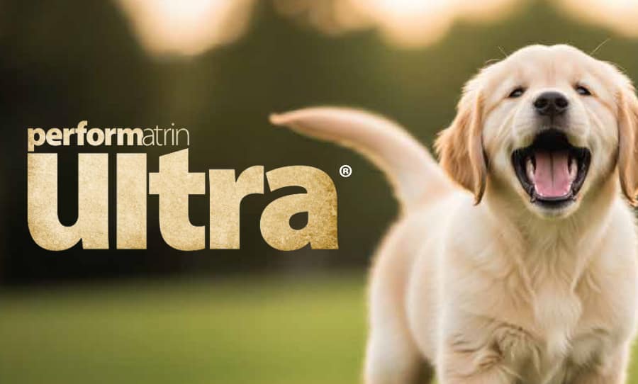 Golden Retriever puppy next to the Performatrin Ultra logo