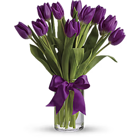 Passionate Purple Tulips