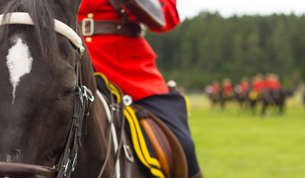 Horse with mountie, Canada