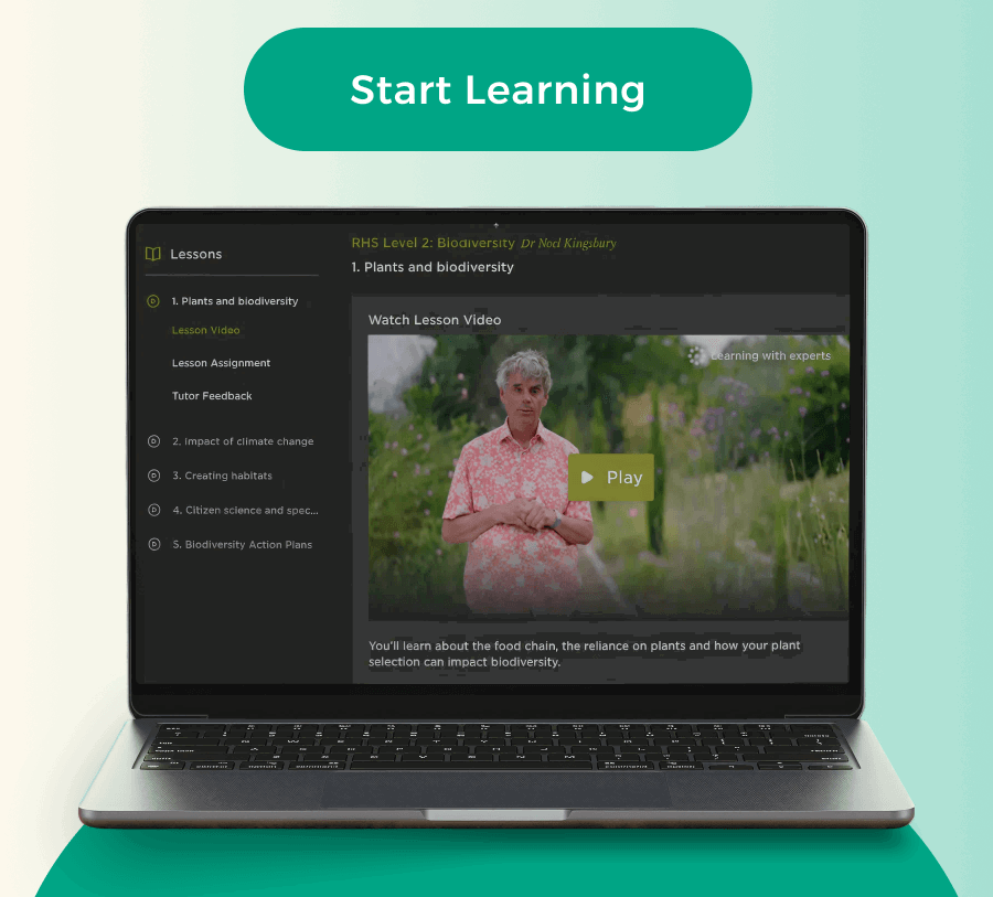 Start Learning