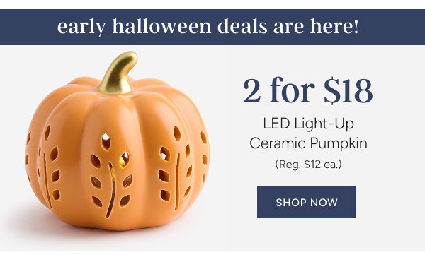 2 for $18 LED Light-Up Ceramic Pumpkin