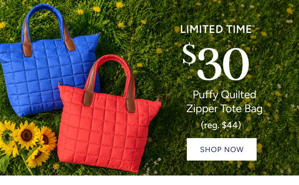 Puffy Tote Special Price $30 (reg. $44)