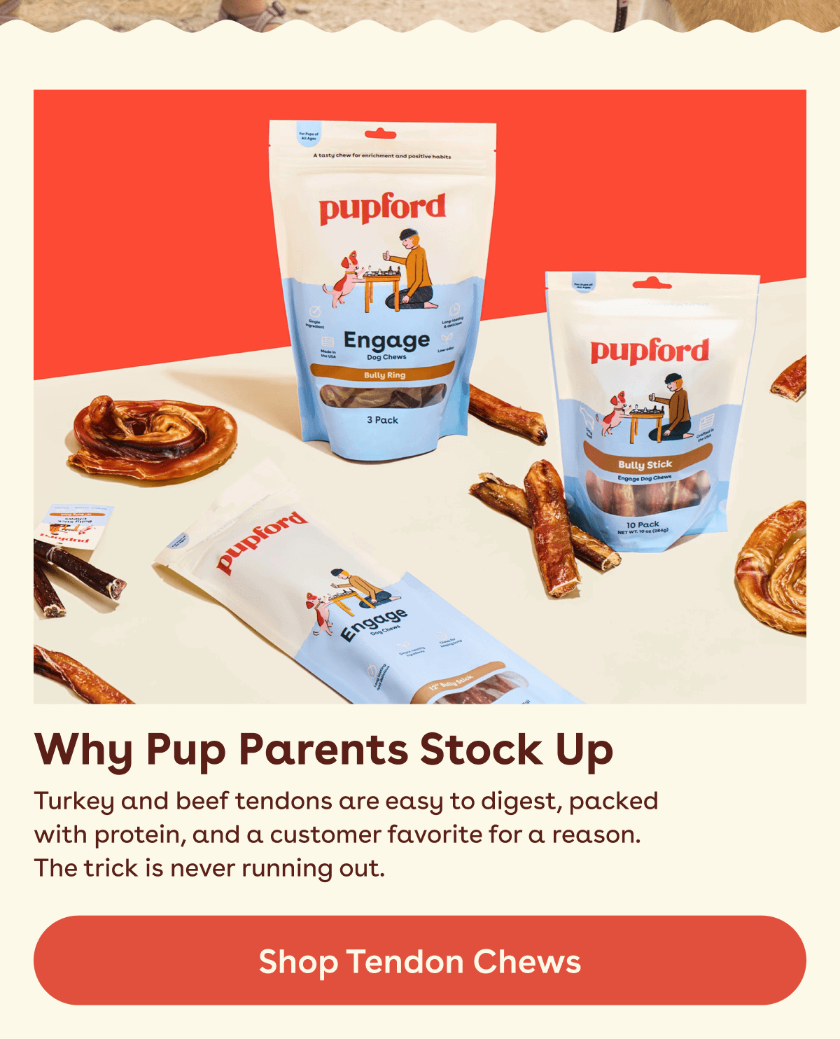 Shop Tendon Chews 