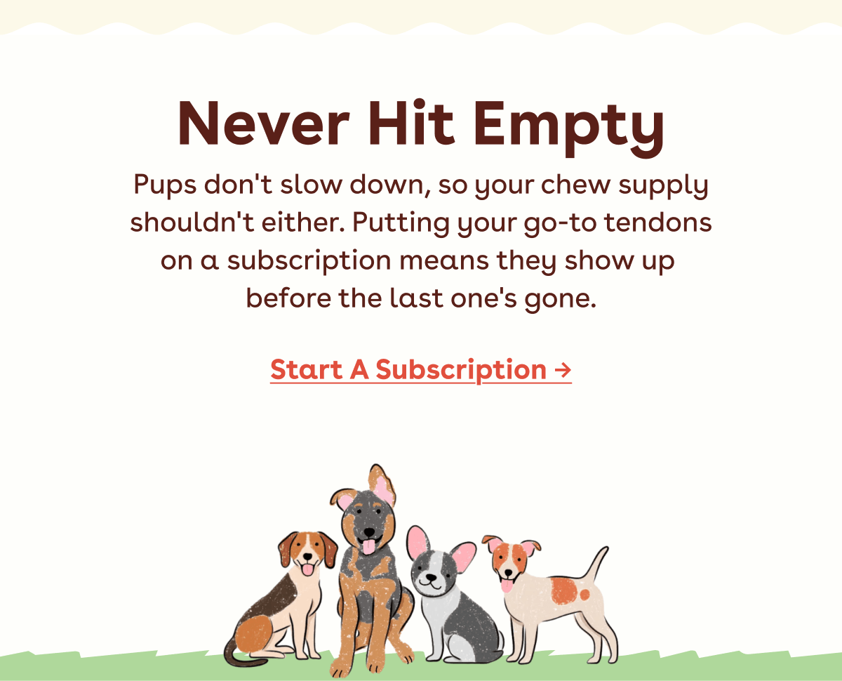 Start a subscription 