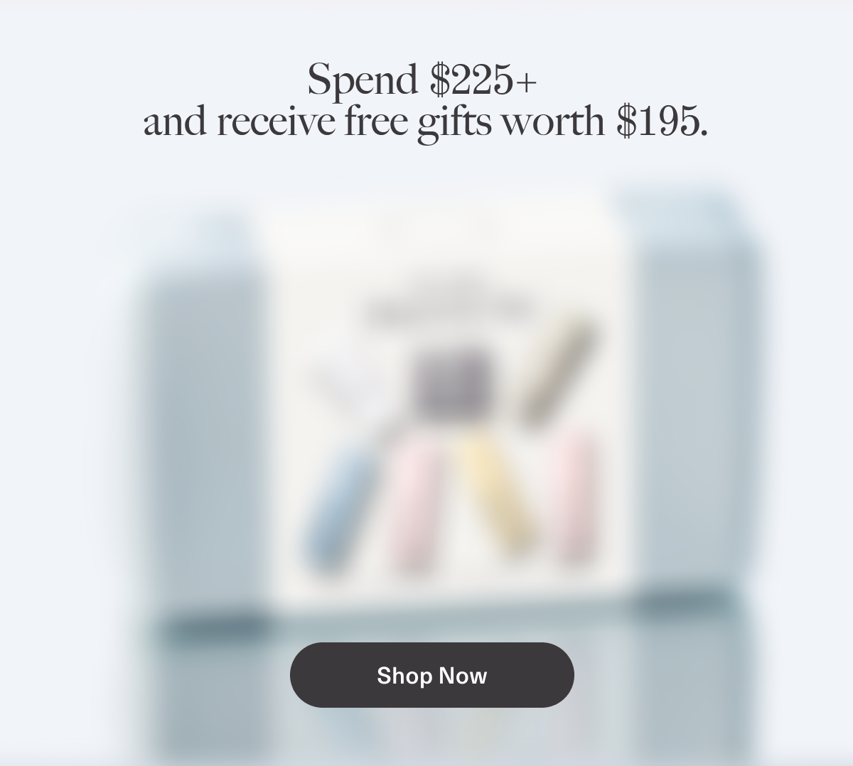 offer 2: spend $225