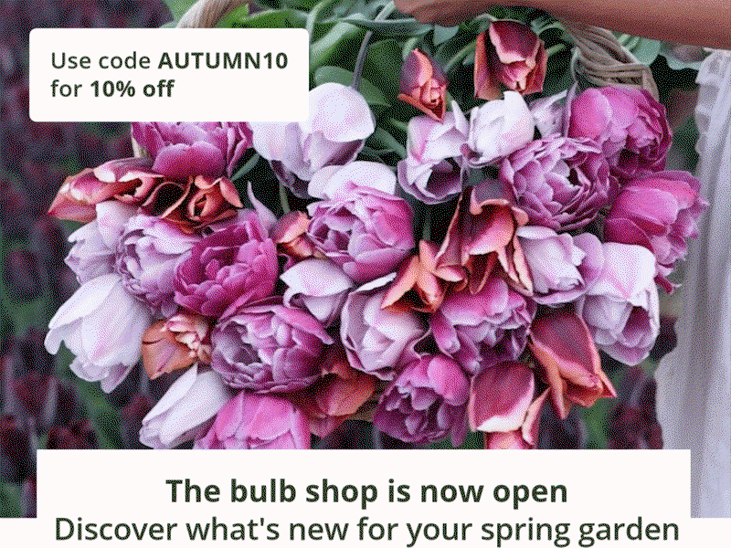 Discover what's new for your spring garden