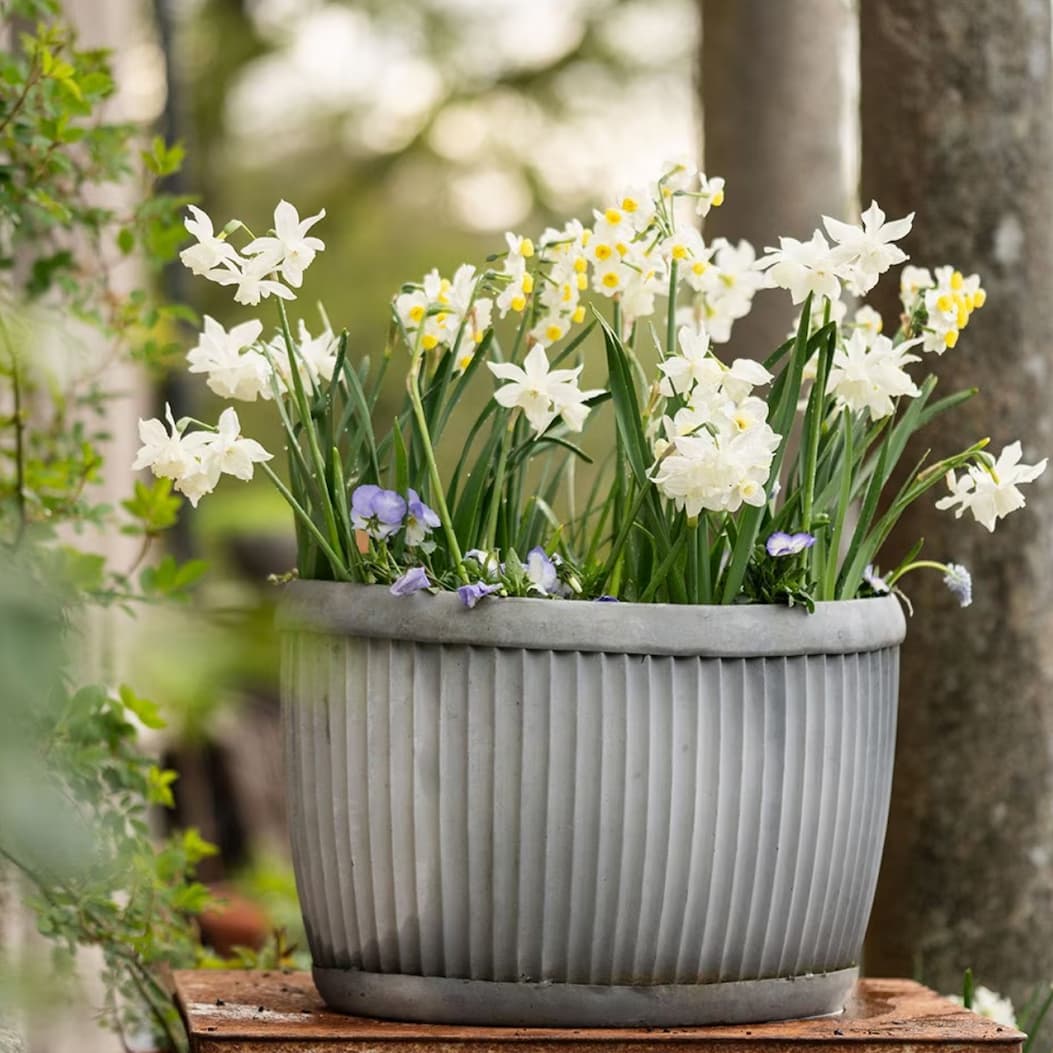 Outdoor pots