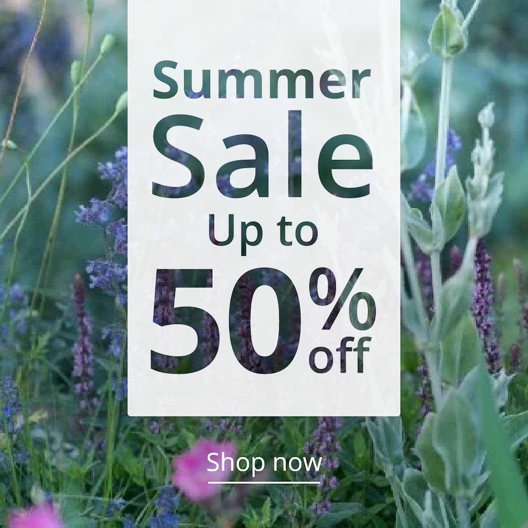 Summer sale