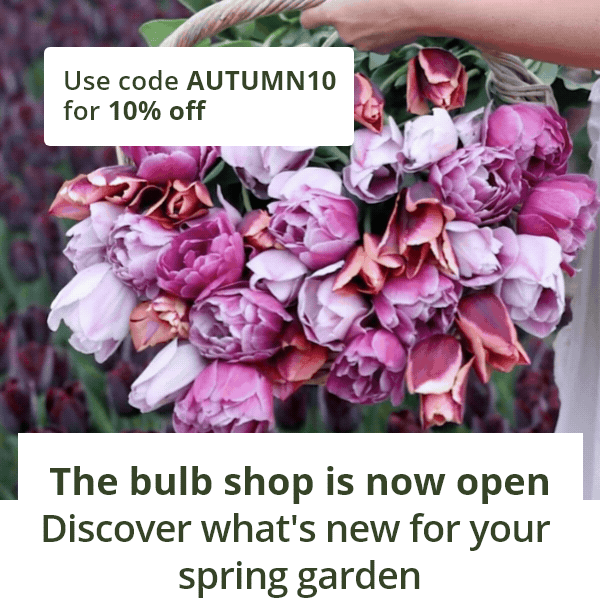 Discover what's new for your spring garden