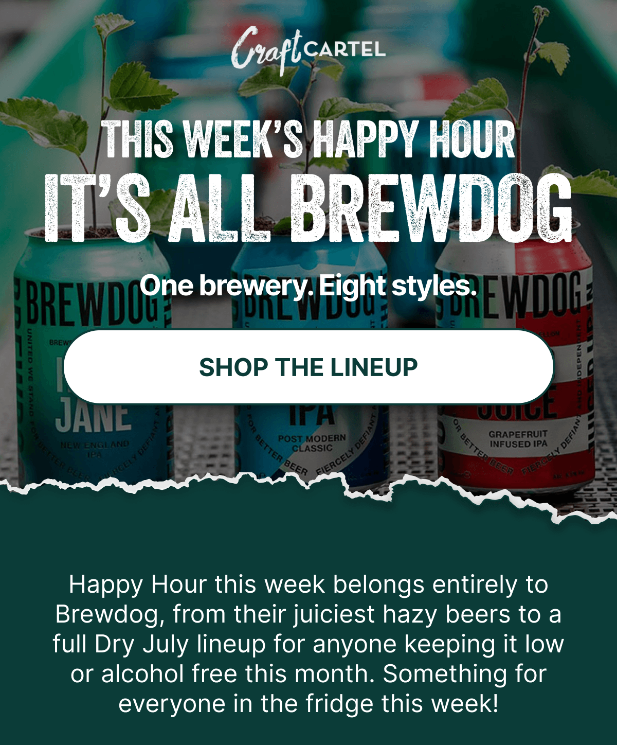 This Week's Happy Hour: It's All Brewdog