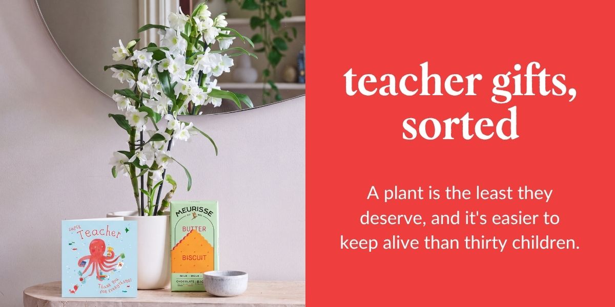 teacher gift