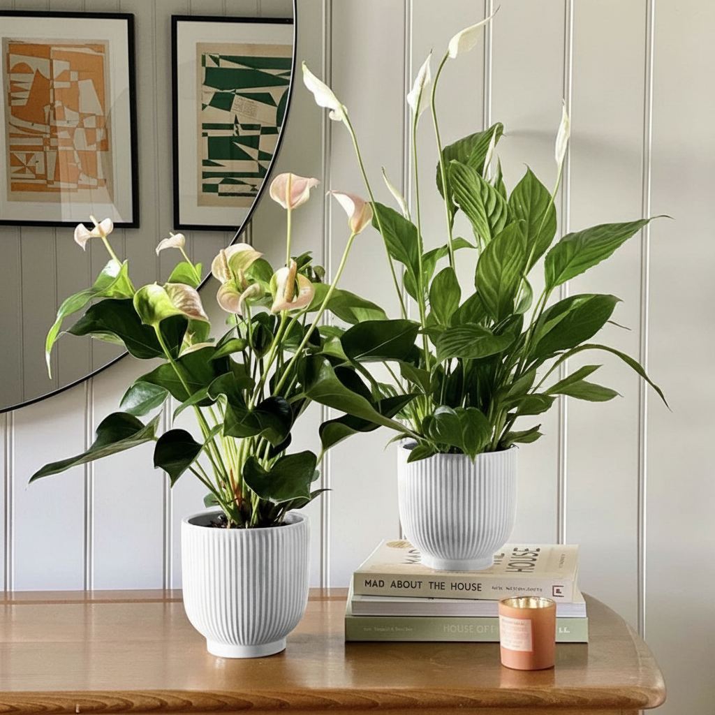 Two potted houseplants, an Anthurium and a Peace Lily, sit on a wooden table.