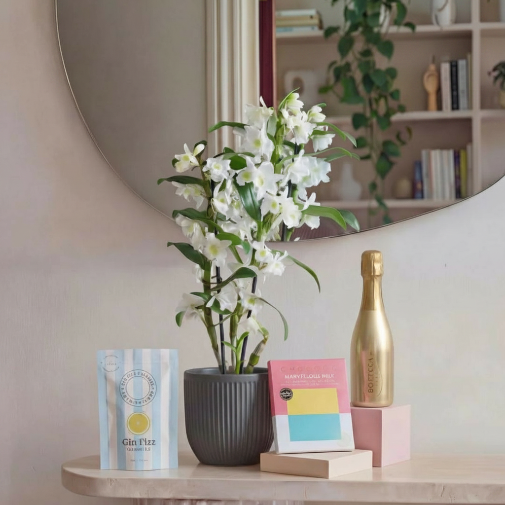 plant mum bundle