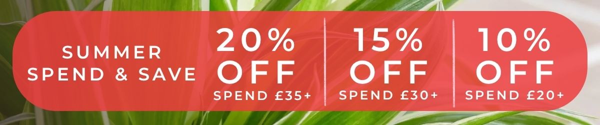 summer spend & save - up to 20% off