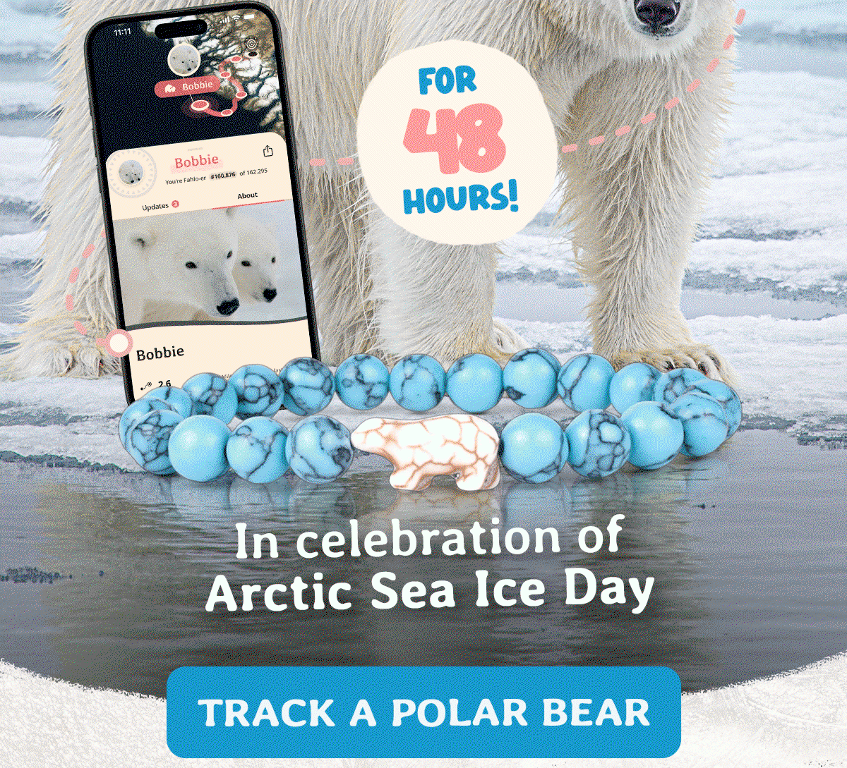 Arctic Sea Ice Day is here and Fahlo is celebrating by bringing polar bear tracking back for 48 hours only. Track a polar bear now before this limited window closes.