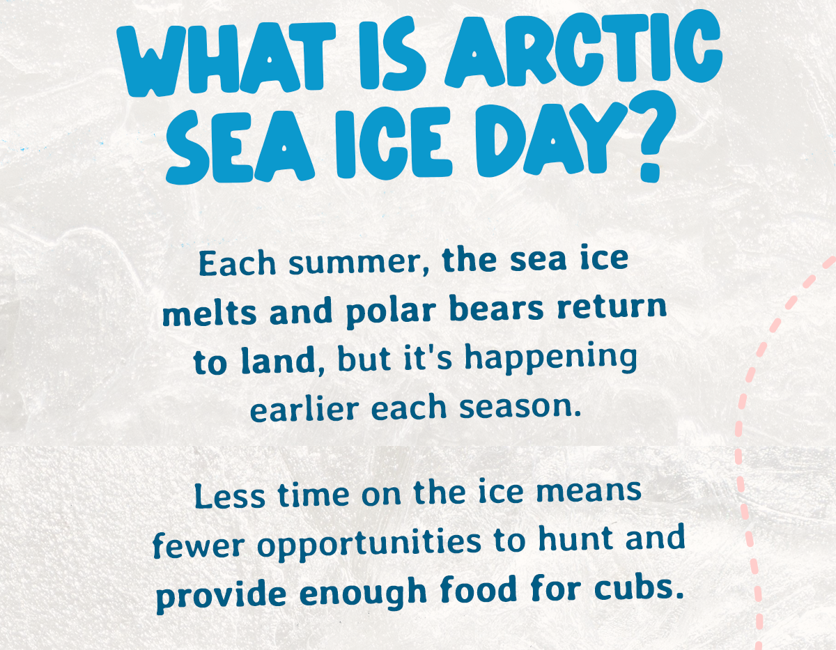 Each Venture Bracelet tracks a real polar bear and supports efforts to conserve their habitats. Shop now and help raise awareness for polar bears this Arctic Sea Ice Day.