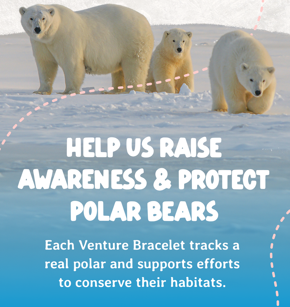 Less time on the ice means fewer opportunities to hunt and provide enough food for cubs, and it is happening earlier each season. Track a polar bear on Fahlo and support the conservation efforts working to protect them.