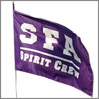 Custom Team Spirit Flags