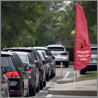 Custom Feather Flags