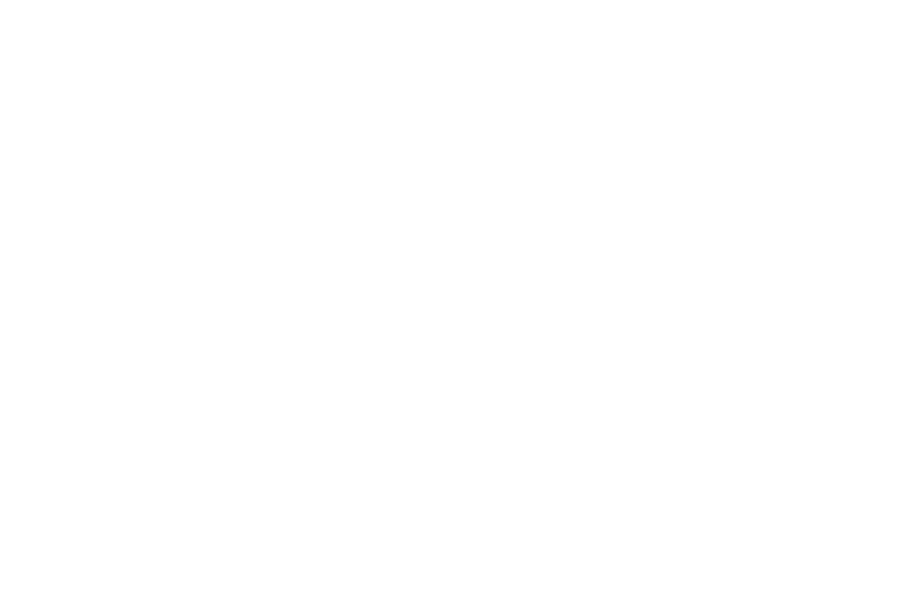 Travelcircus