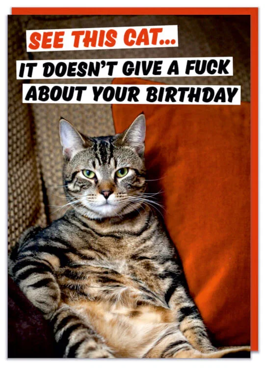 Image of See This Cat. It Doesn't Give A Fuck About Your Card