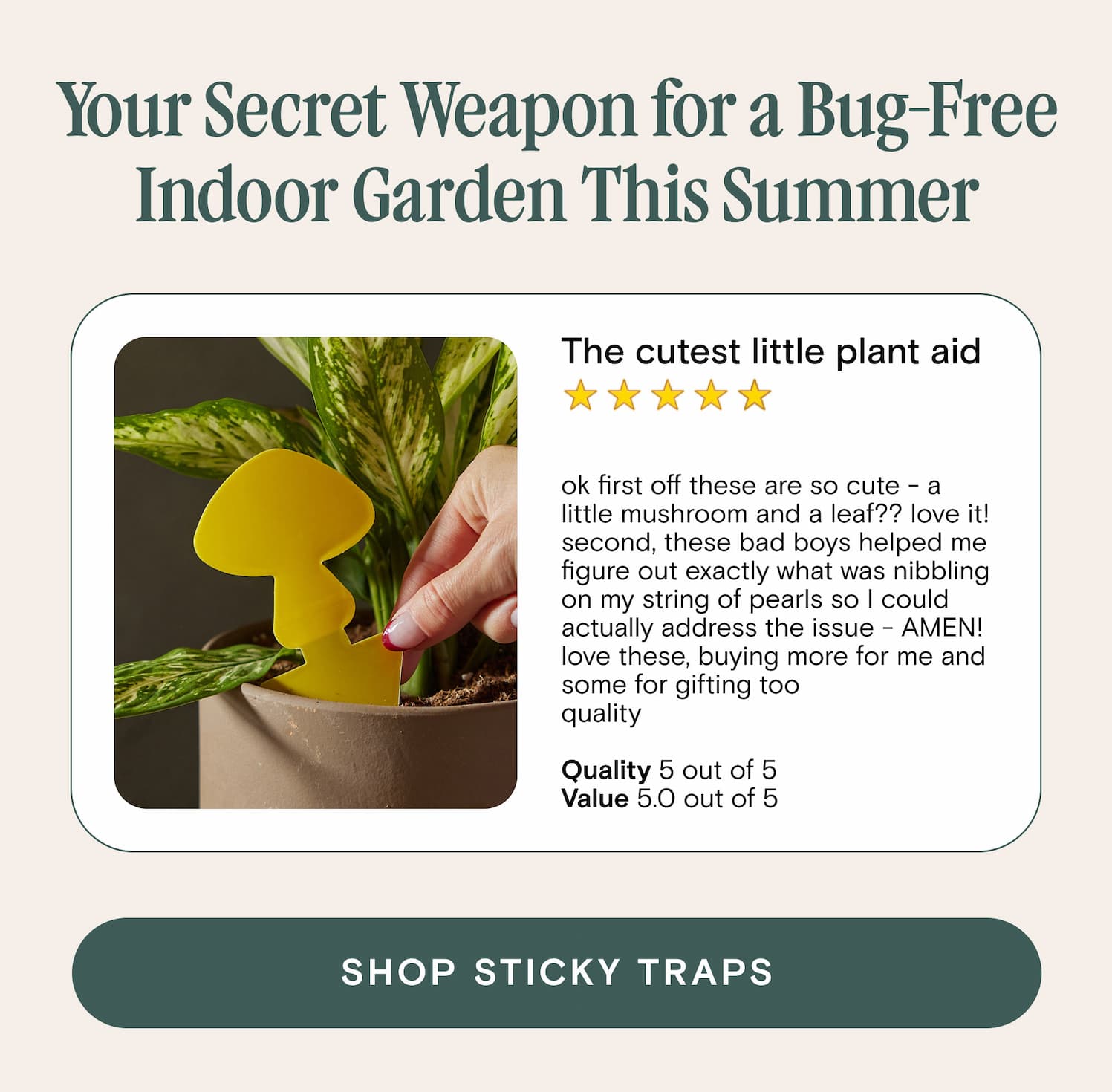 sticky-traps-for-plant-pests