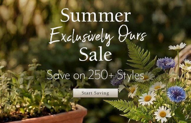 Summer Exclusively Ours Sale