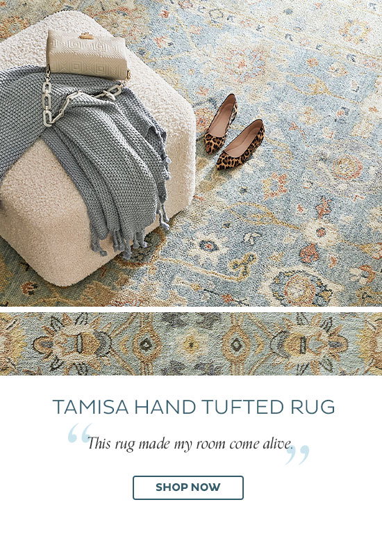 Tamisa Hand Tufted Rug - 
