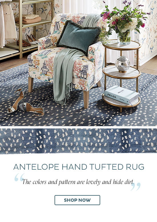 Antelope Hand Tufted Rug - 
