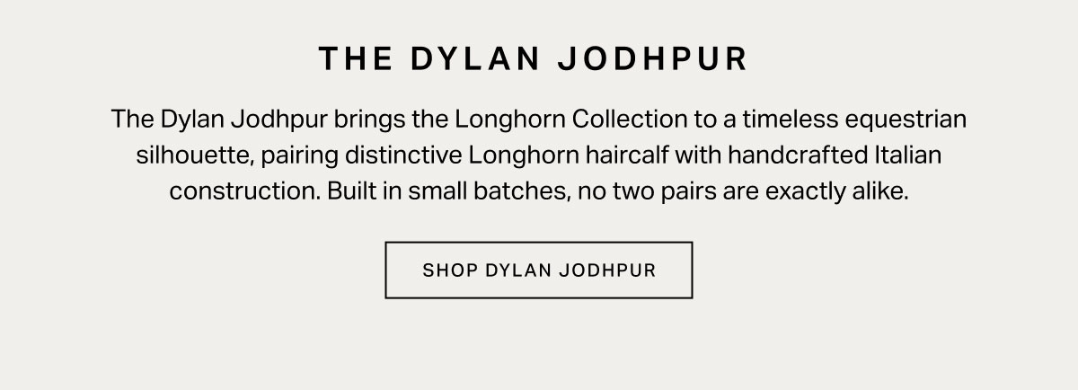 The Dylan Jodhpur