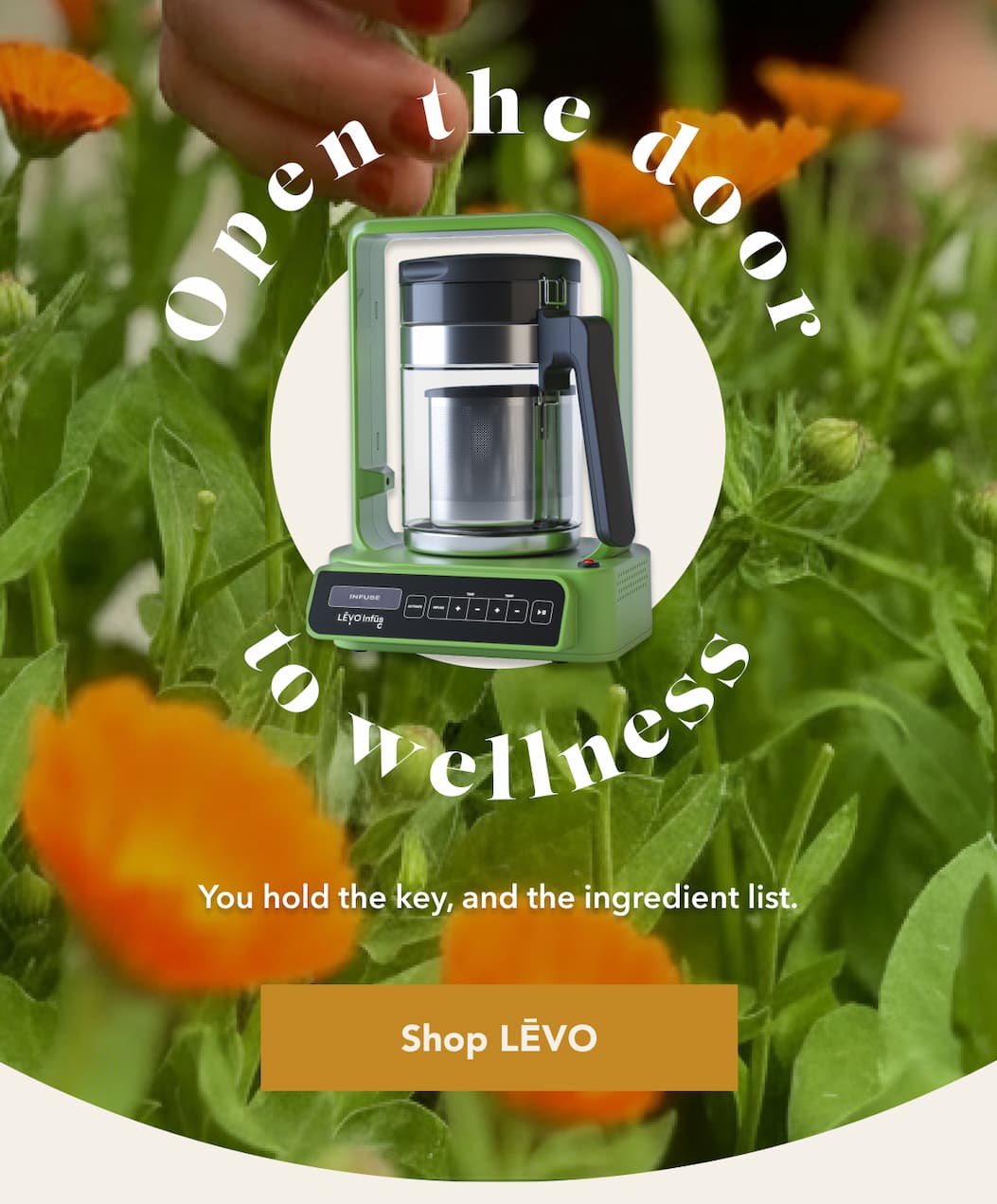 Open the door to wellness. You hold the key, and the ingredient list. [Shop LĒVO]