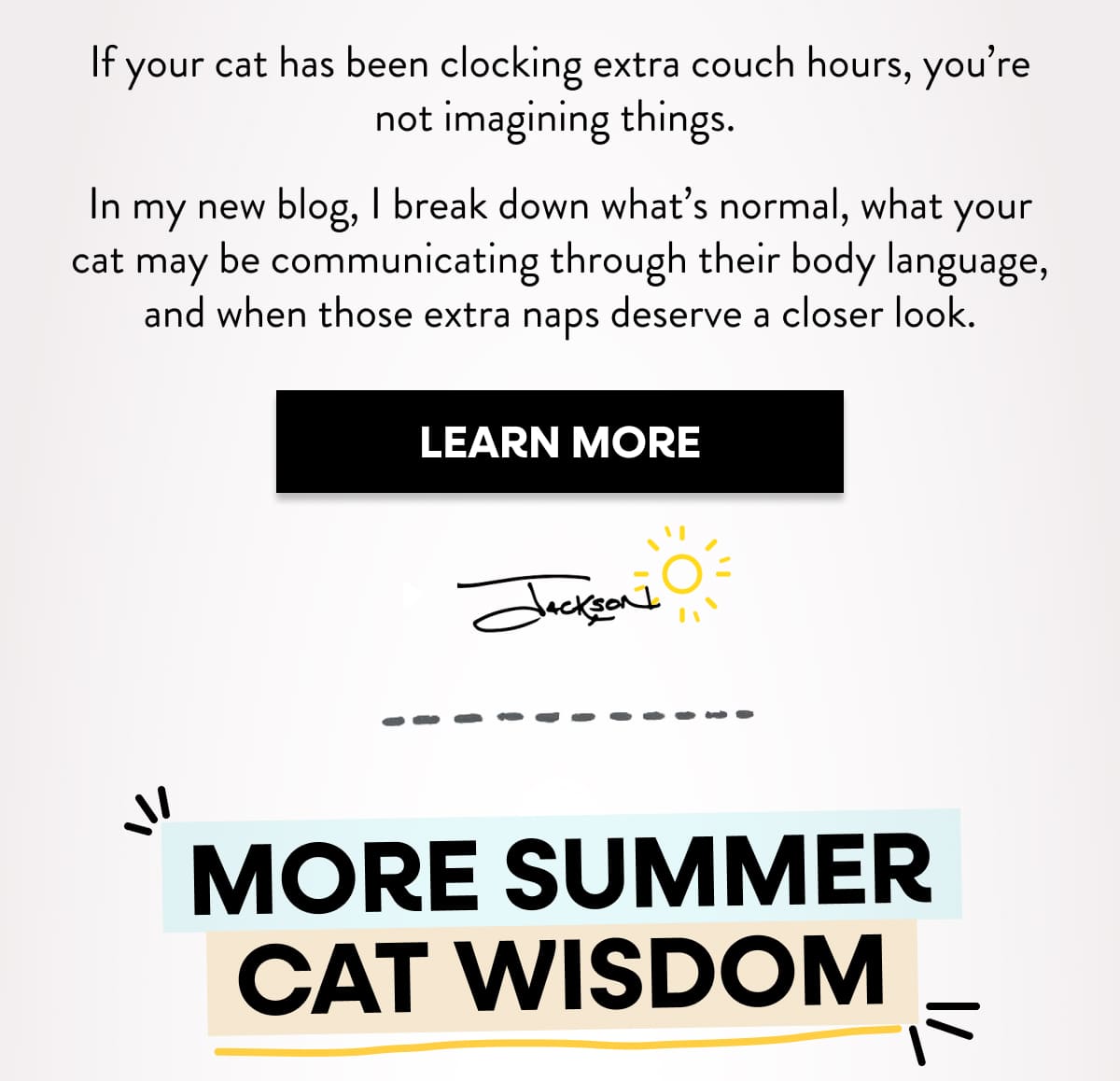 Learn why your cat is sleeping more
