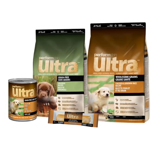 Performatrin Ultra Puppy Food