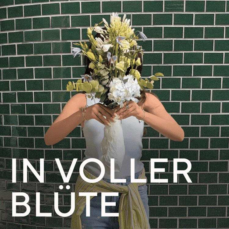   In voller Blüte 