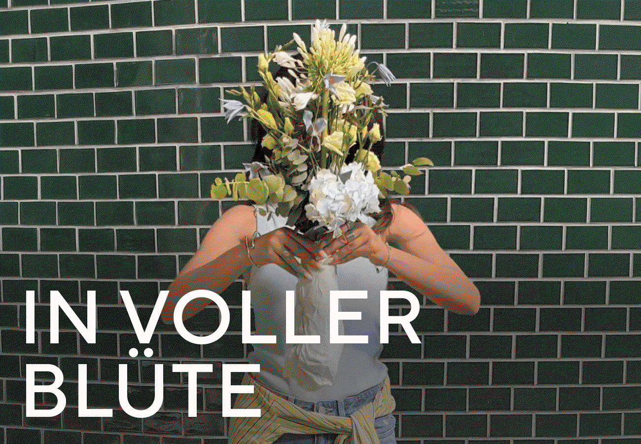   In voller Blüte 