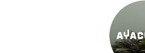 Ayacucho Brand