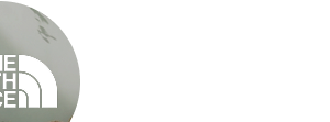 TNF Brand Logo